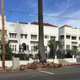 Palm frond piles that I reported